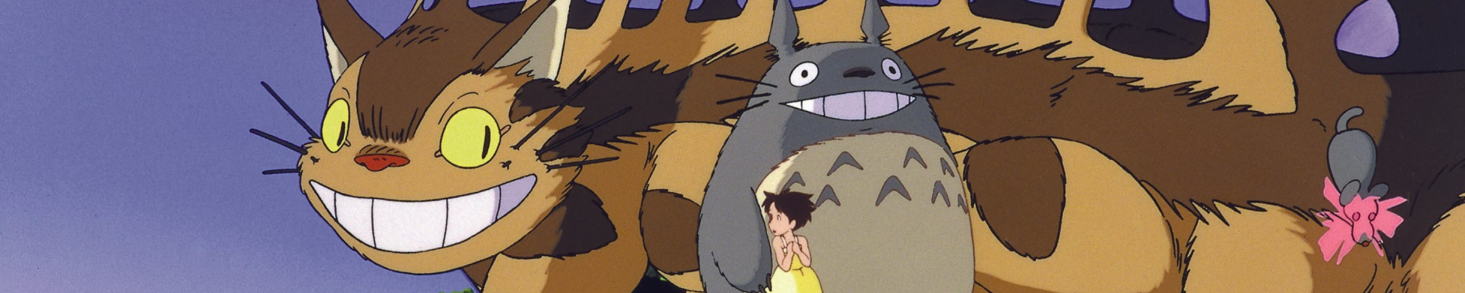 Edition Collector 2 DVD Ghibli Mon Voisin Totoro NEUF épuisé Hayao