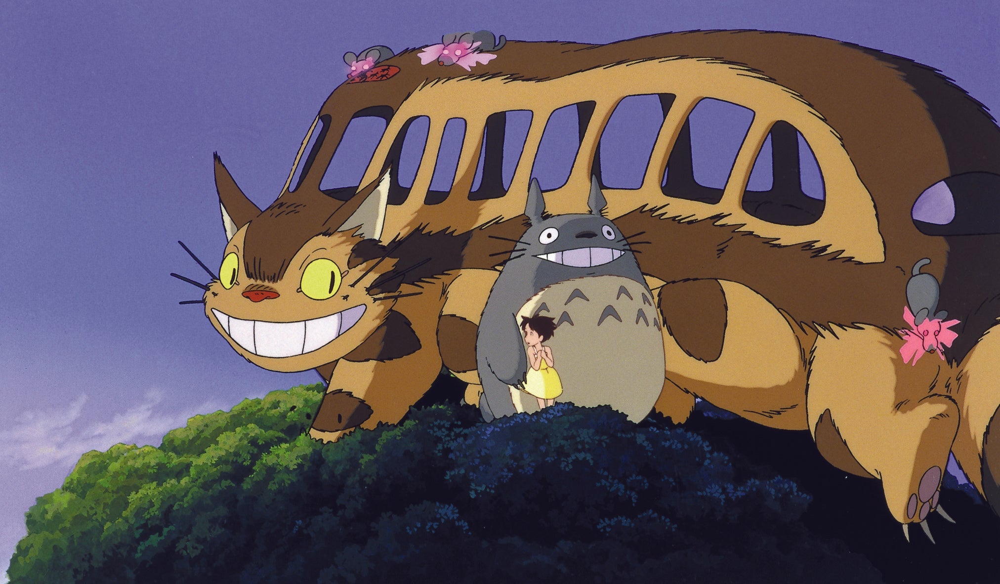 Mon Voisin Totoro DVD / Studio Ghibli #8 by Hayao Miyazaki