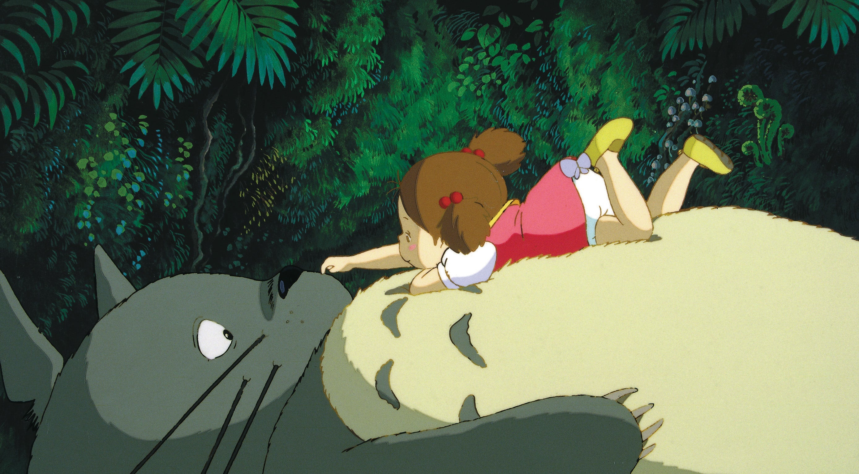 MON VOISIN TOTORO (Il mio vicino Totoro, animé) - MIYAZAKI - dvd